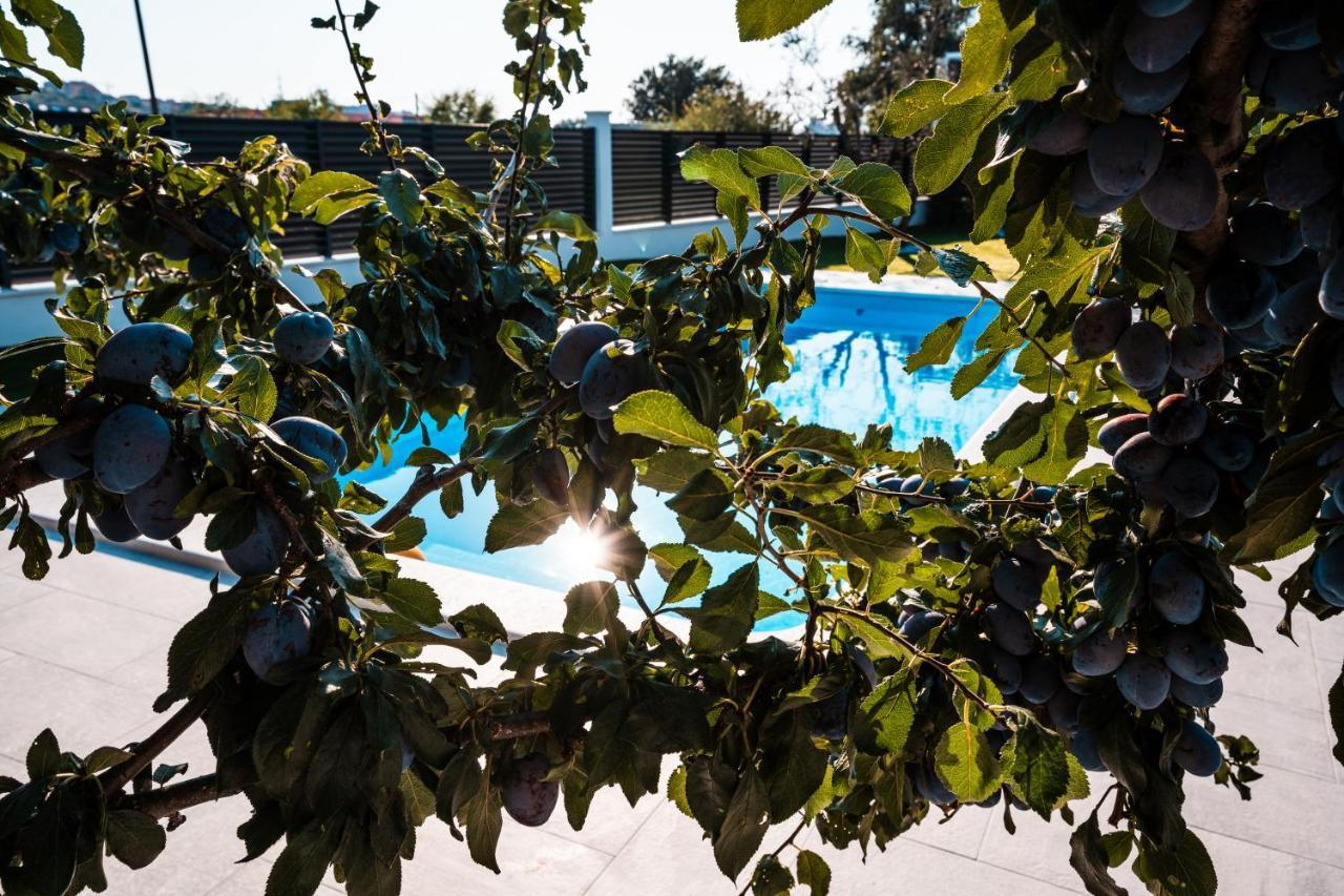 Villa Margita Split Luaran gambar