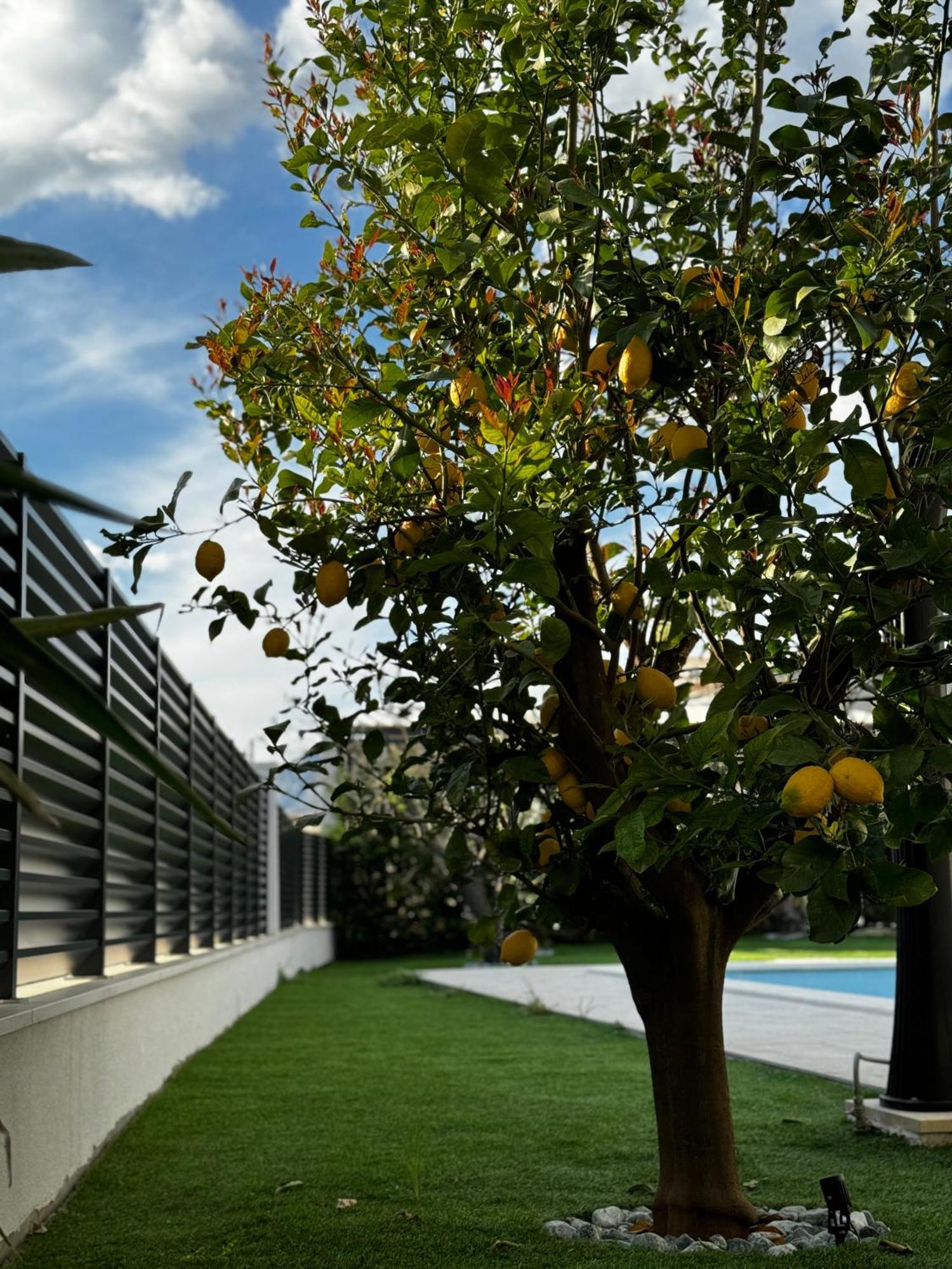 Villa Margita Split Luaran gambar